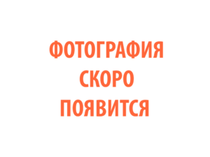 Фото 85 - Горелка TECH TS 26.